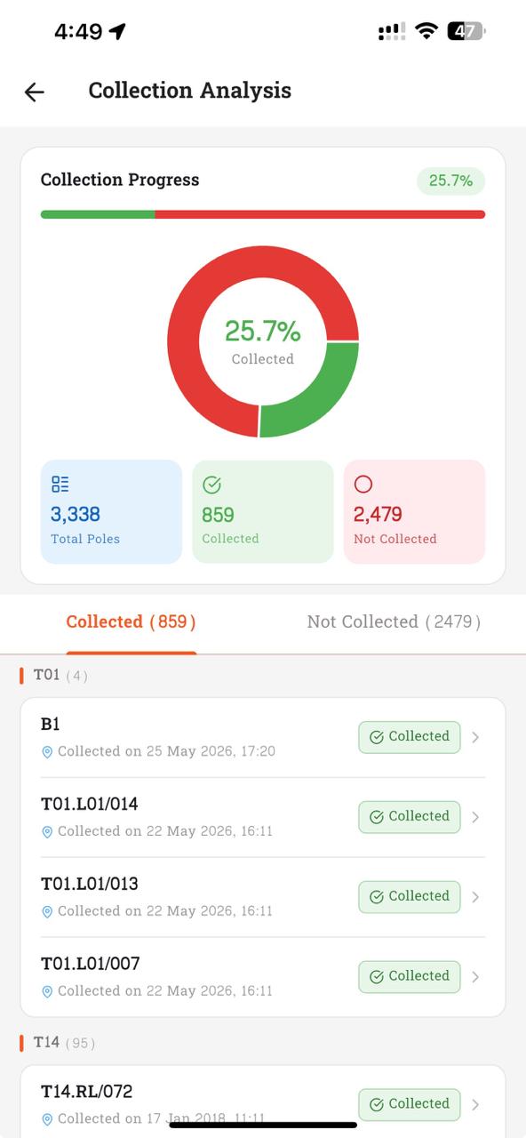 Collection Analysis (English)