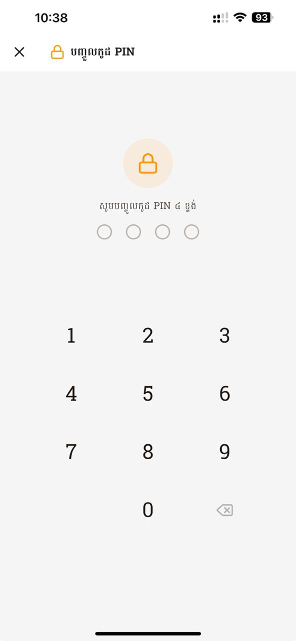 PIN entry screen